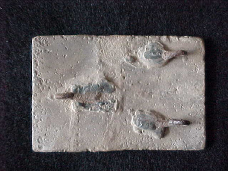 CSA Pewter BP